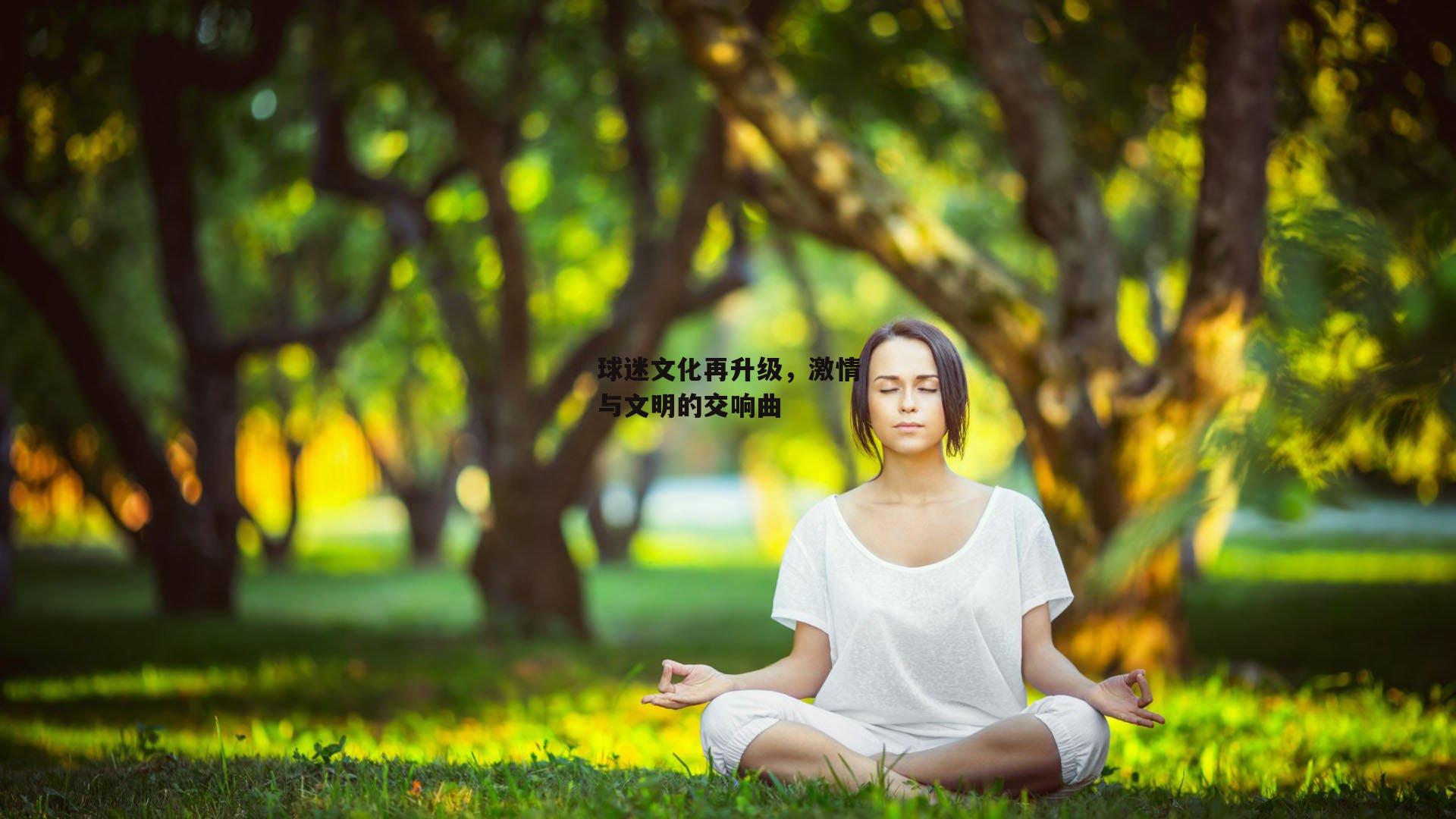 球迷文化再升级，激情与文明的交响曲